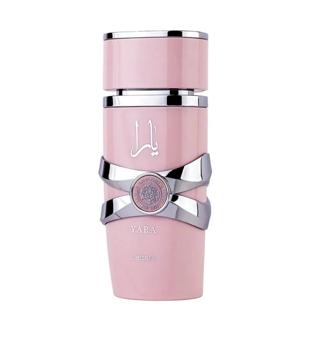 Screenshot 20241119 195700 Google